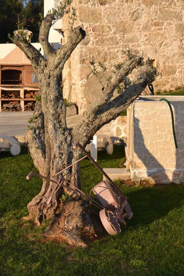 فيلا Casa Da Trapa أوليفيرا دي ازميس المظهر الخارجي الصورة